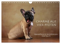 Cover-Bild zum Titel 'Charme auf vier Pfoten - Französische Bulldoggen Portraits (Wandkalender 2026 DIN A4 quer), CALVENDO Monatskalender' von 'Jana Behr'