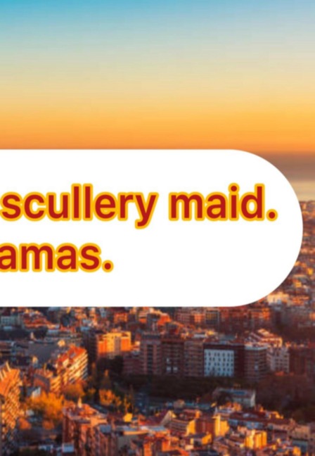 The Illustrious Mop. - Miguel De Cervantes