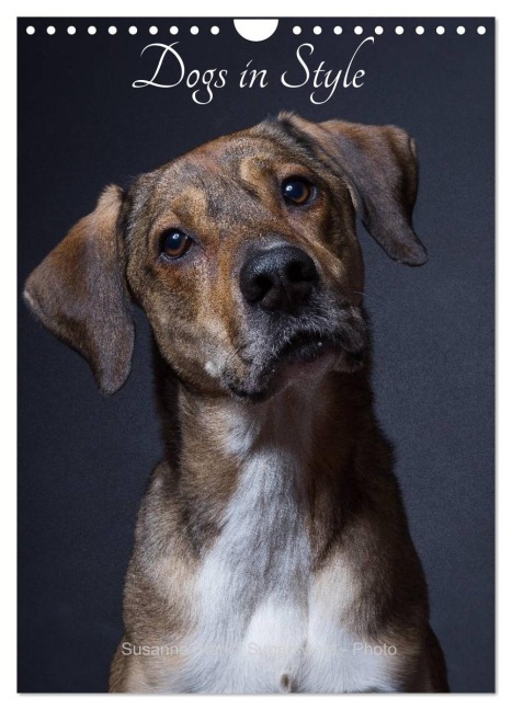 Dogs in Style (Wall Calendar 2026 DIN A4 portrait), CALVENDO 12 Month Wall Calendar - Susanne Stark Sugarsweet - Photo
