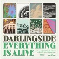 Cover-Bild zum Titel 'Everything Is Alive' von 'Darlingside'