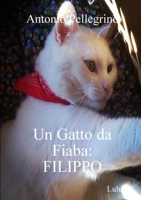 Un Gatto da Fiaba - Antonio Pellegrino