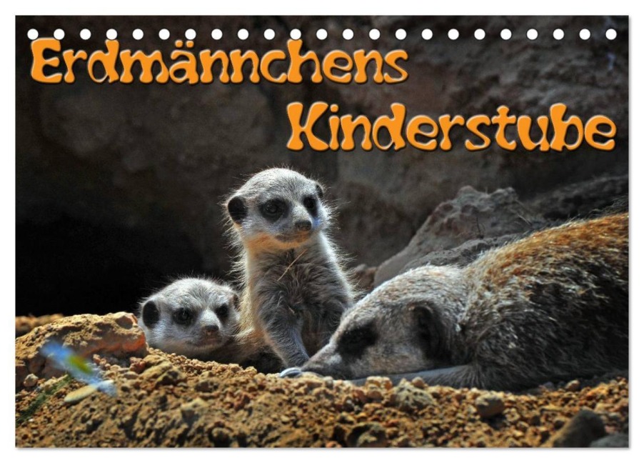 Erdmännchens Kinderstube (Tischkalender 2026 DIN A5 quer), CALVENDO Monatskalender - Ingo Laue