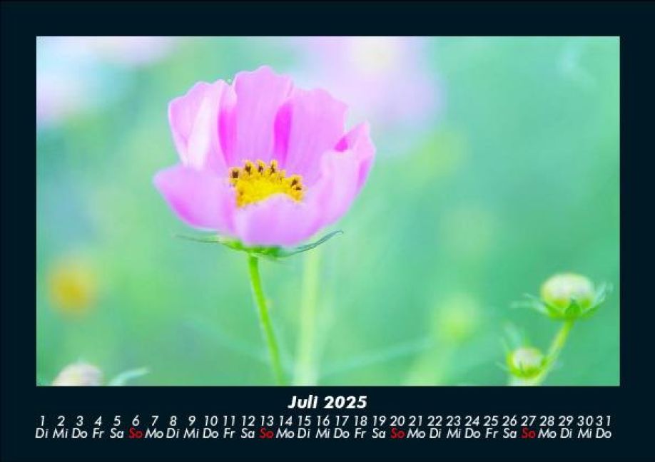 InsideView 11