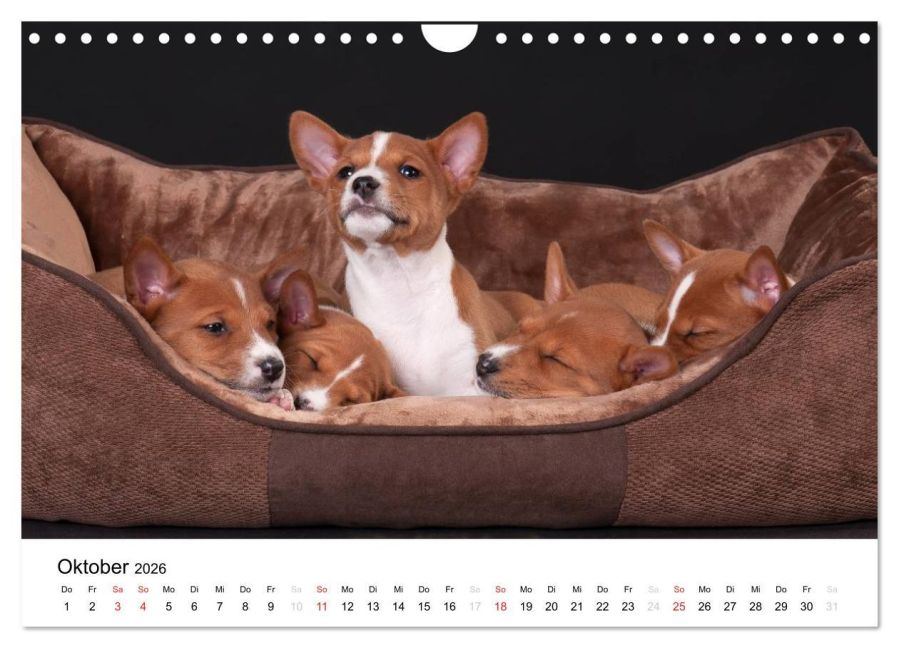 InsideView 2
