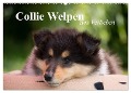 Collie Welpen zum Verlieben (Wandkalender 2024 DIN A2 quer), CALVENDO Monatskalender - Thomas Quentin