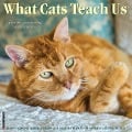 What Cats Teach Us 2024 12 X 12 Wall Calendar - Willow Creek Press
