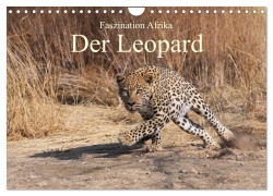 Cover-Bild zum Titel 'Faszination Afrika: Der Leopard (Wandkalender 2026 DIN A4 quer), CALVENDO Monatskalender' von 'Elmar Weiß'