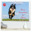 Berner Sennenhunde in Action (hochwertiger Premium Wandkalender 2025 DIN A2 quer), Kunstdruck in Hochglanz - Sigrid Starick