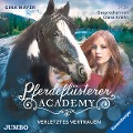 Pferdeflüsterer-Academy 4. Verletztes Vertrauen - Gina Mayer