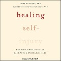Healing Self-Injury: A Compassionate Guide for Parents and Other Loved Ones - Elizabeth Lloyd-Richardson, Janis Whitlock