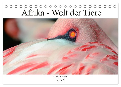 Afrika - Welt der Tiere (Tischkalender 2025 DIN A5 quer), CALVENDO Monatskalender - Michael Jaster