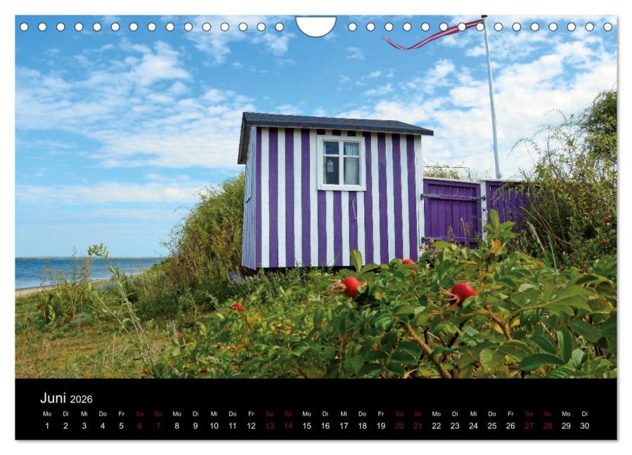 InsideView 11
