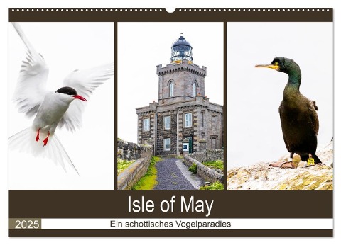 Isle of May - Ein schottisches Vogelparadies (Wandkalender 2025 DIN A2 quer), CALVENDO Monatskalender - Janita Webeler