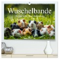 Wuschelbande - Ein Jahr voller Meerschweinchen (hochwertiger Premium Wandkalender 2025 DIN A2 quer), Kunstdruck in Hochglanz - 
