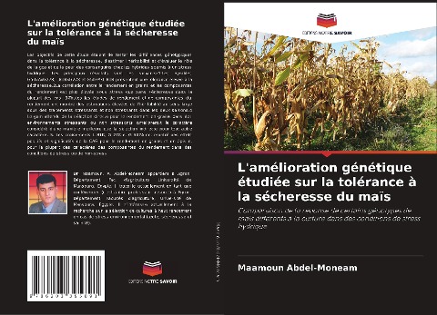 L'amélioration génétique étudiée sur la tolérance à la sécheresse du maïs - Maamoun Abdel-Moneam
