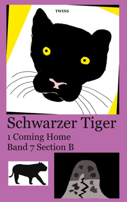 Schwarzer Tiger 1 Coming Home - Twins