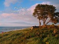Cover-Bild zum Titel 'Fischland - Darß - Zingst Kalender 2026 (groß)' von 'Volker Schrader'