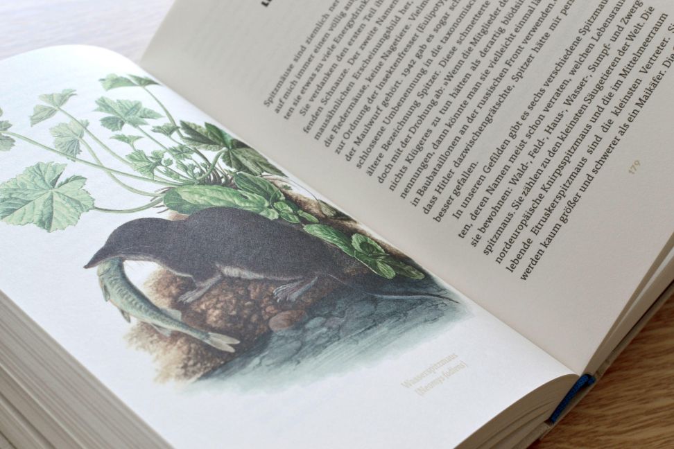 InsideView 13
