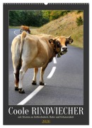 Cover-Bild zum Titel 'Coole Rindviecher (Wandkalender 2026 DIN A2 hoch), CALVENDO Monatskalender' von 'Sabine Löwer'