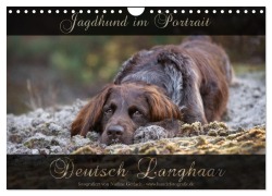 Cover-Bild zum Titel 'Jagdhund im Portrait - Deutsch Langhaar (Wandkalender 2026 DIN A4 quer), CALVENDO Monatskalender' von 'Nadine Gerlach'