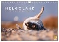 Helgoland - Das Leben auf der Düne Helgolands (Wandkalender 2025 DIN A4 quer), CALVENDO Monatskalender - Lain Jackson