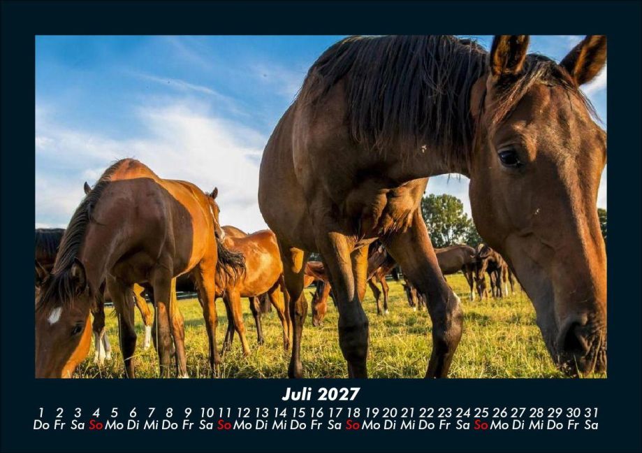InsideView 11