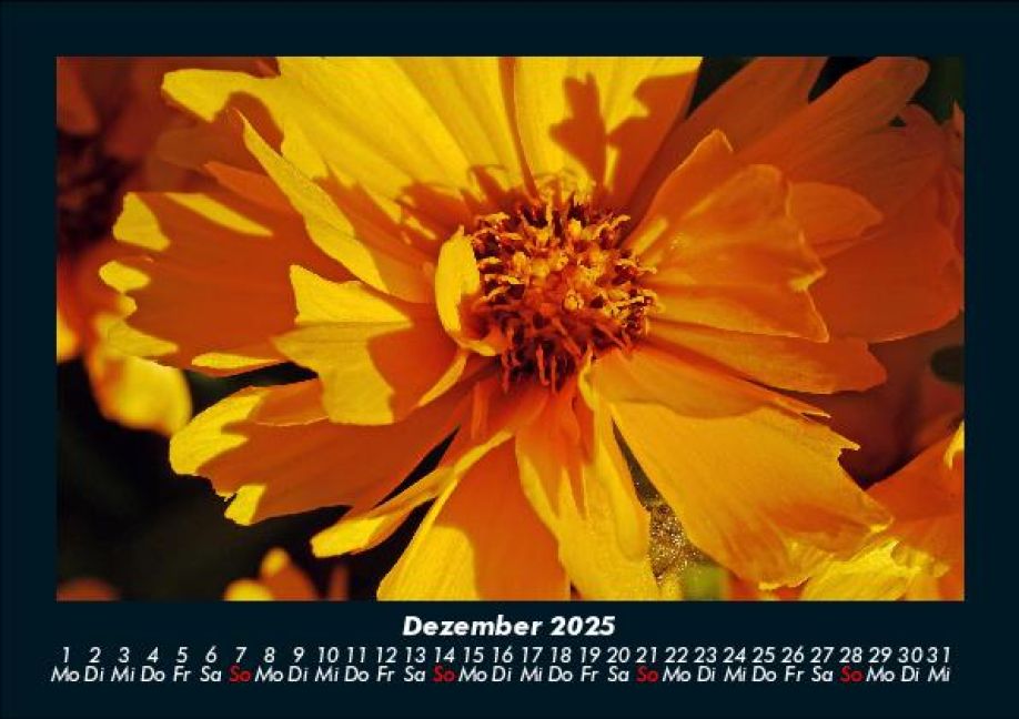 InsideView 4