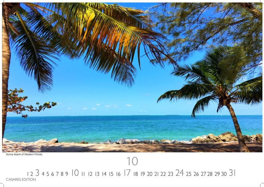 InsideView 10