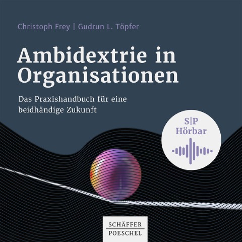 Ambidextrie in Organisationen - Christoph Frey, Gudrun L. Töpfer