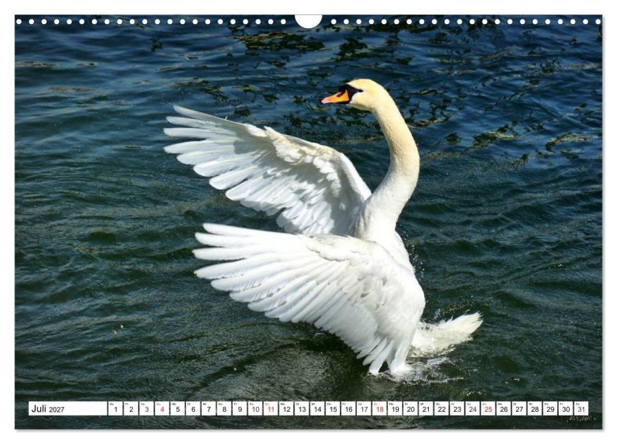 InsideView 12