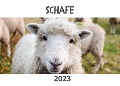Schafe - Bibi Hübsch