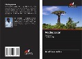 Cover-Bild zum Titel 'Madagascar' von 'Henri Rasamoelina'