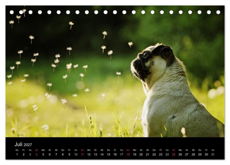 InsideView 12