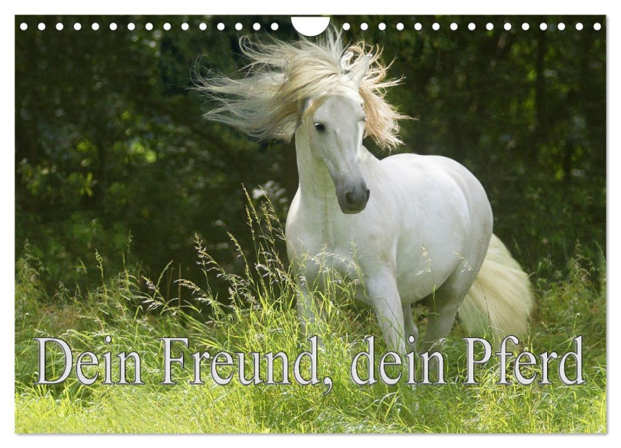 Dein Freund, dein Pferd (Wandkalender 2026 DIN A4 quer), CALVENDO Monatskalender - Erika Müller