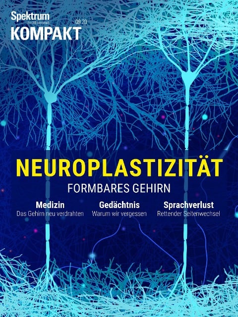 Spektrum Kompakt - Neuroplastizität - Spektrum der Wissenschaft Verlagsgesellschaft
