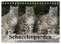 Schneeleoparden. Perfekte Raubkatzen-Schönheiten (Tischkalender 2024 DIN A5 quer), CALVENDO Monatskalender - Elisabeth Stanzer
