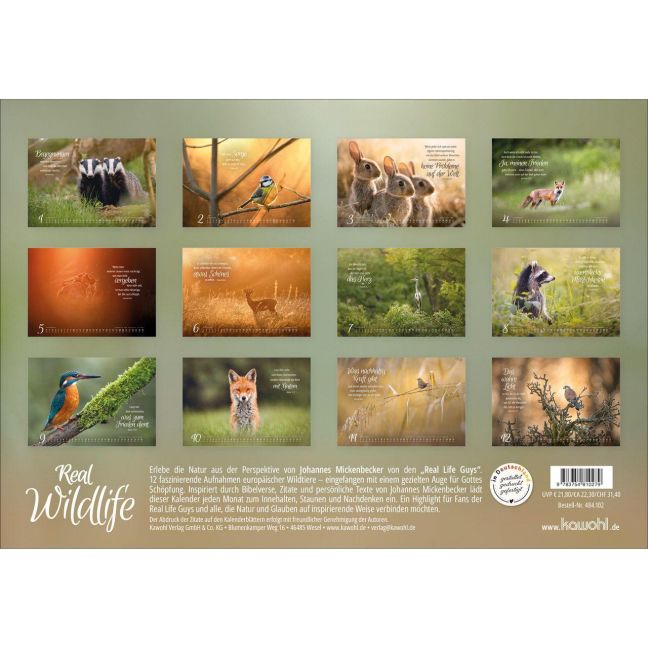 InsideView 11