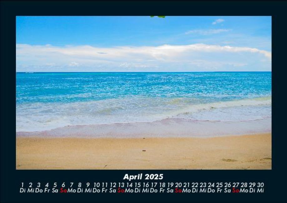 InsideView 8