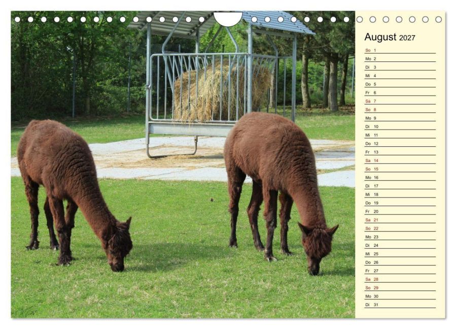 InsideView 13