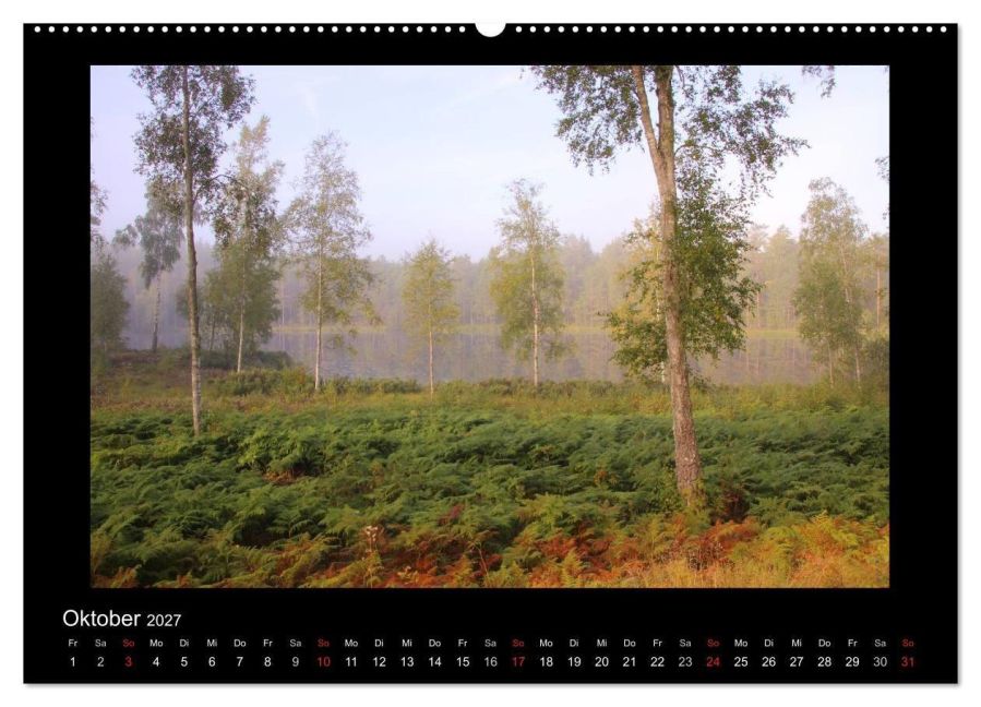 InsideView 2