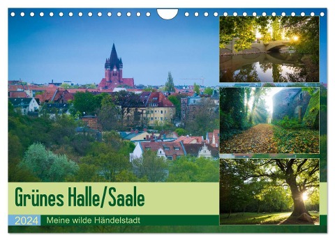 Grünes Halle/Saale - Meine wilde Händelstadt (Wandkalender 2024 DIN A4 quer), CALVENDO Monatskalender - Martin Wasilewski