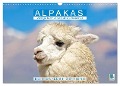 Alpakas: Wollige Kleinkamele aus Südamerika - Edition lustige Tiere (Wandkalender 2024 DIN A3 quer), CALVENDO Monatskalender - Calvendo Calvendo