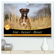 Gut - besser - Boxer (hochwertiger Premium Wandkalender 2026 DIN A2 quer), Kunstdruck in Hochglanz - Yvonne Janetzek