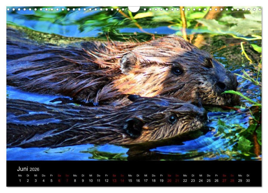 InsideView 11