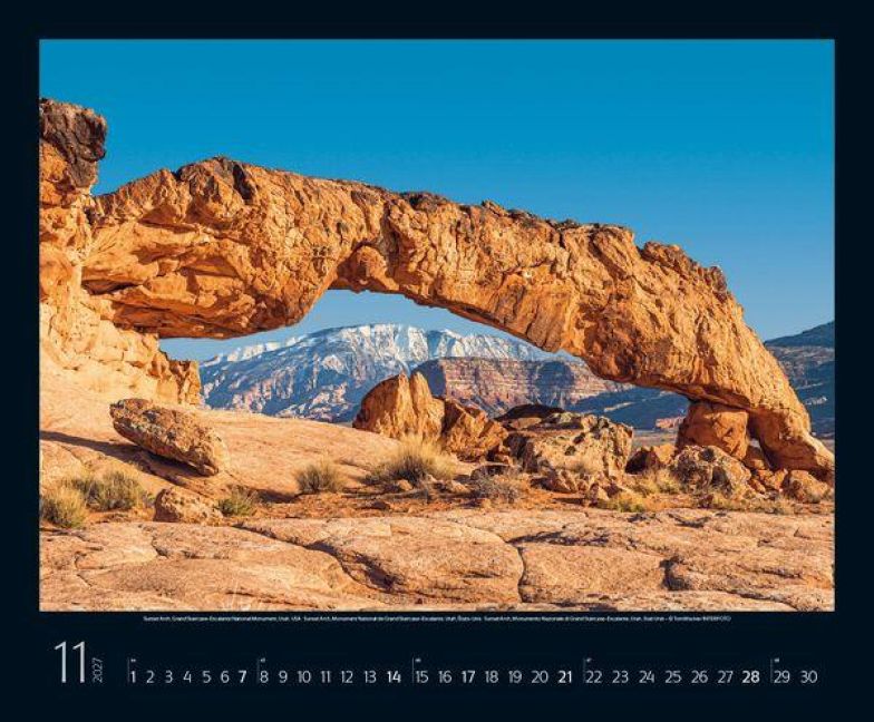 InsideView 11