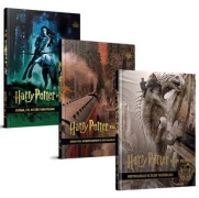 Cover-Bild zum Titel 'Harry Potter Film Dehlizi Serisi 3 Kitap Takim' von 'Jody Revenson'