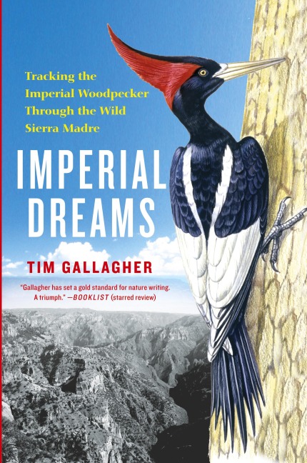 Imperial Dreams - Tim Gallagher