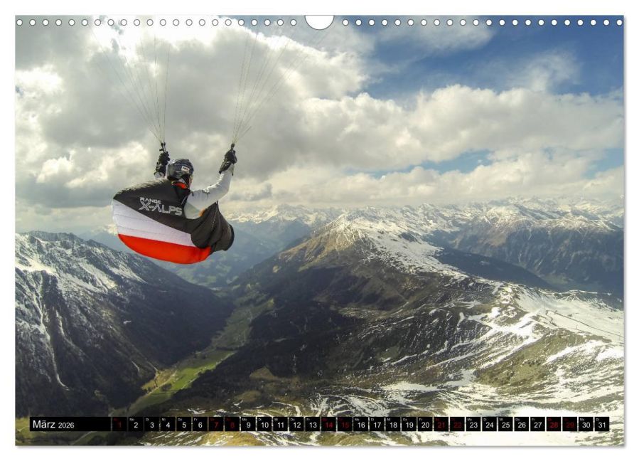 InsideView 8