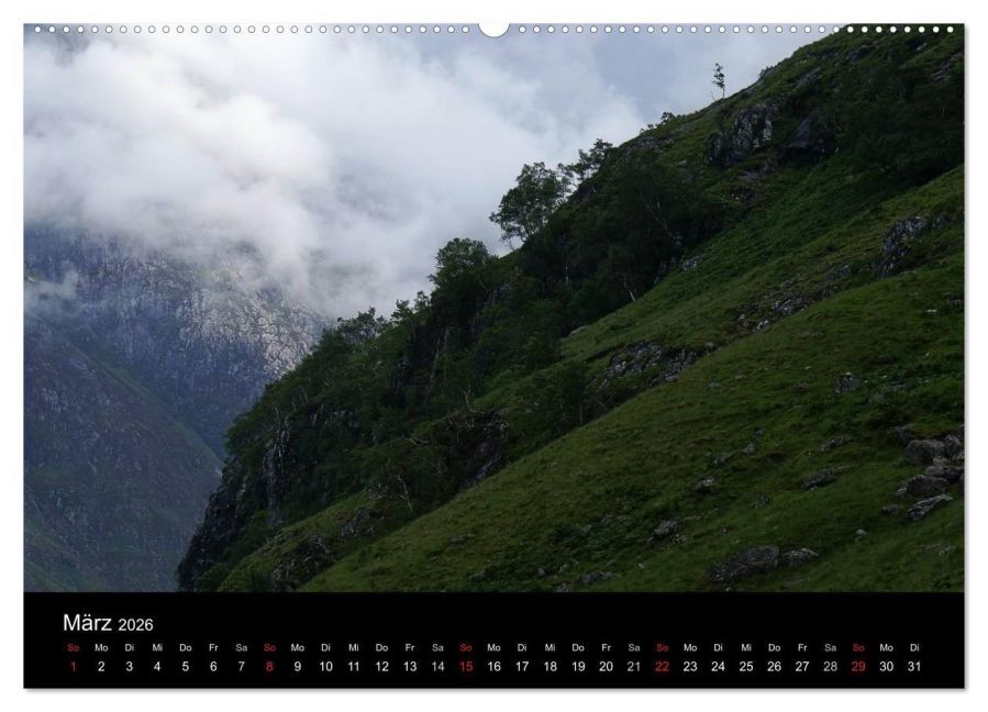 InsideView 7