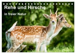 Rehe und Hirsche in freier Natur (Tischkalender 2025 DIN A5 quer), CALVENDO Monatskalender - Photoga Photography Wernicke-Marfo